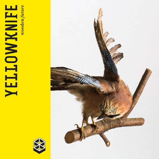 Yellowknife-wooden future LP-Vinyl